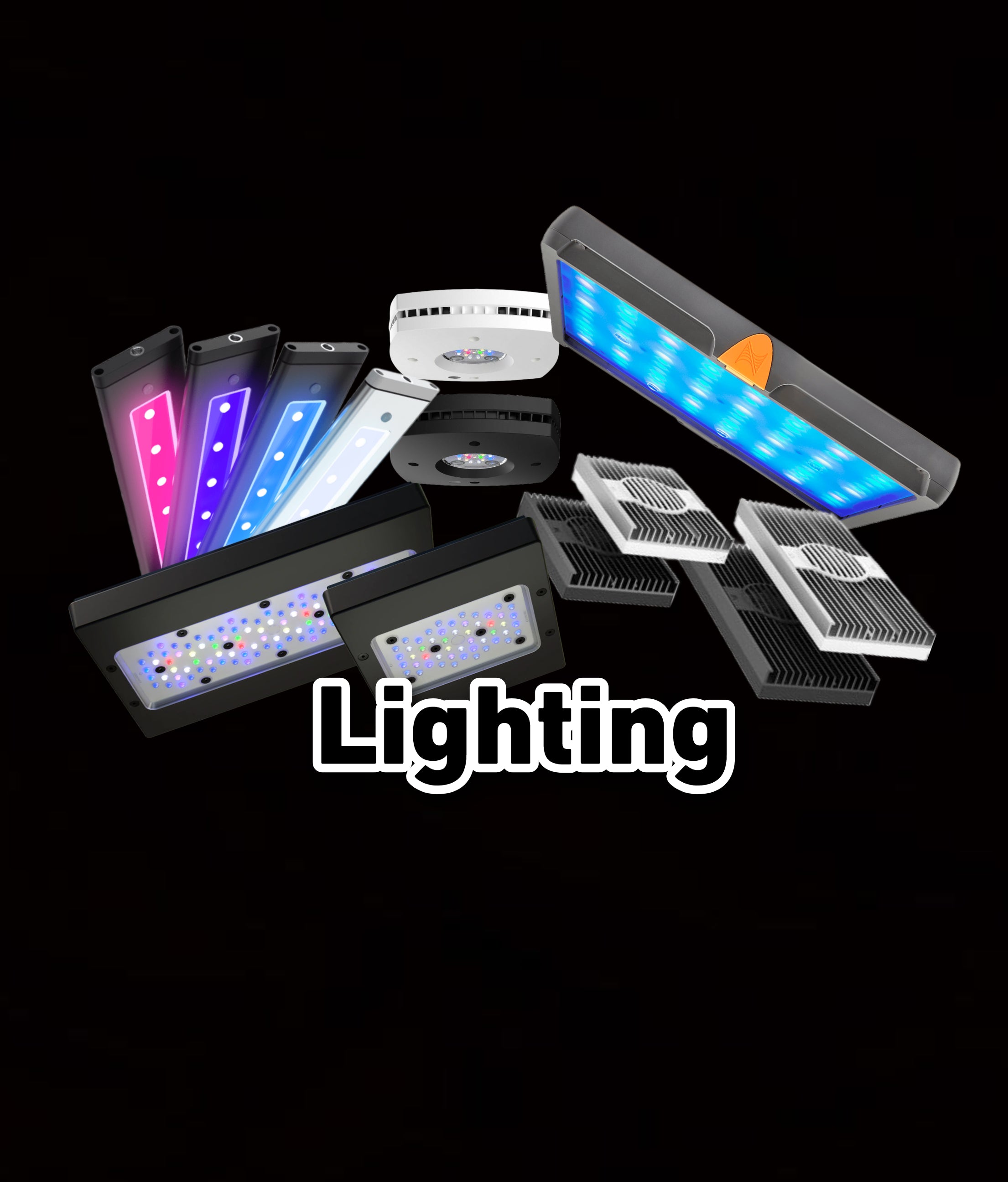 Lighting – Reef Paradise