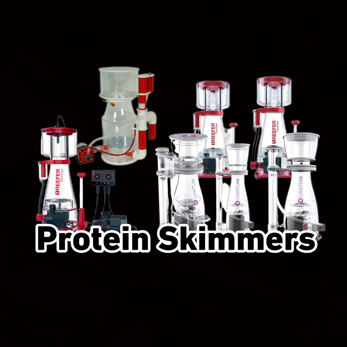Thumbnail for Protein Skimmers Reef Paradise