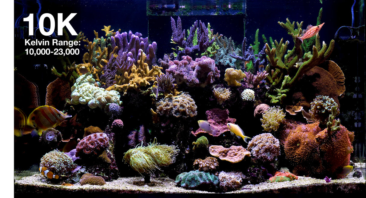 Red Sea ReefLED G2