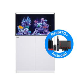 Red Sea Reefer G3 250