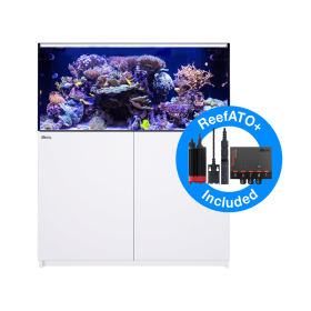 Red Sea Reefer G3 XL-425