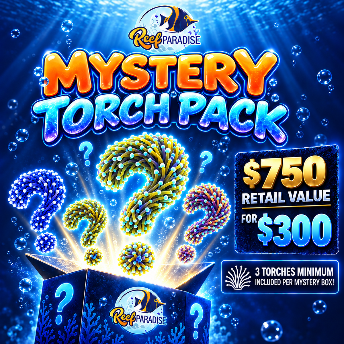 Torch Mystery Box