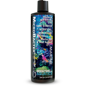 Brightwell MicroBacterSTARTXLM