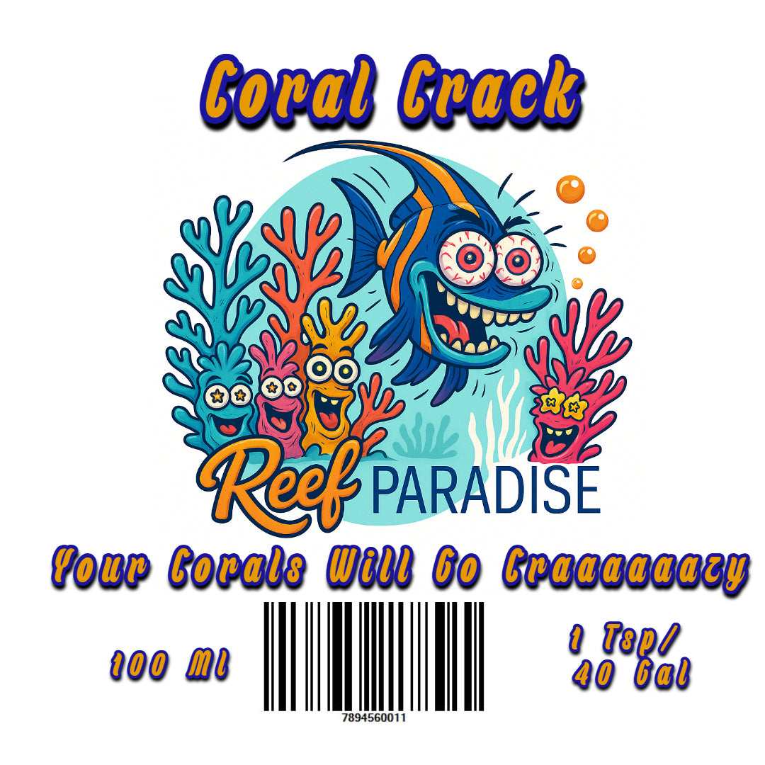 Reef Paradise Coral Crack