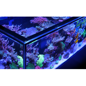Red Sea Reefer-S 1000 G3