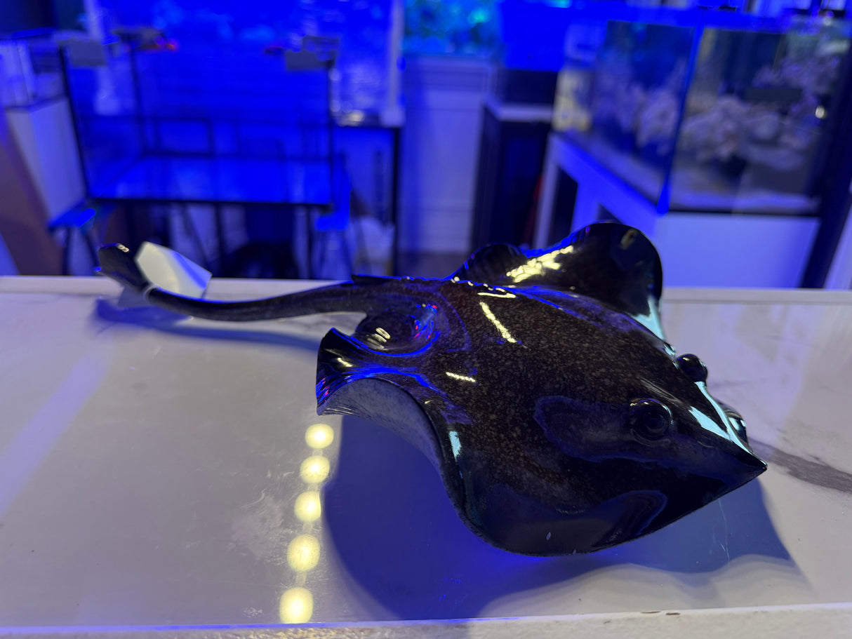 Stingray Statue Home Decor