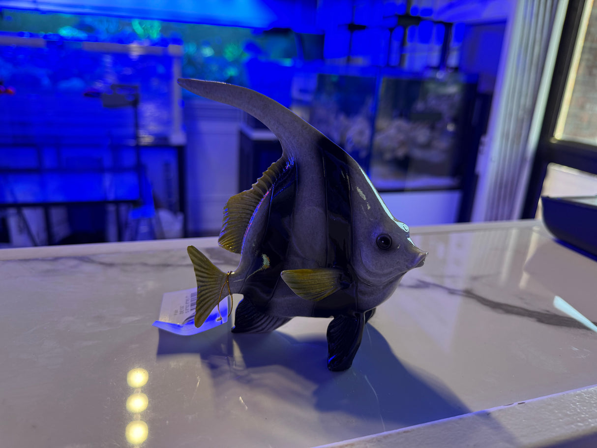 Bannerfish Statue Home Decor