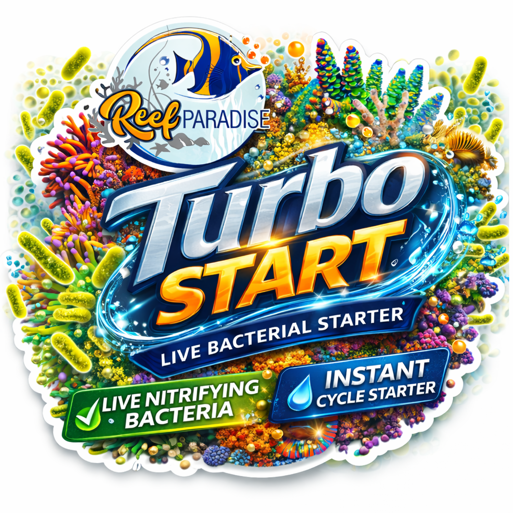 Reef Paradise Turbo Start