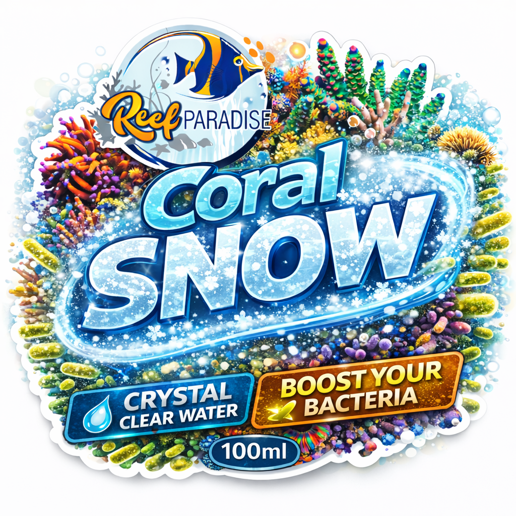 Reef Paradise Coral Snow