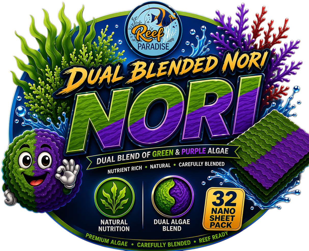 Dual Blended Nori Seaweed