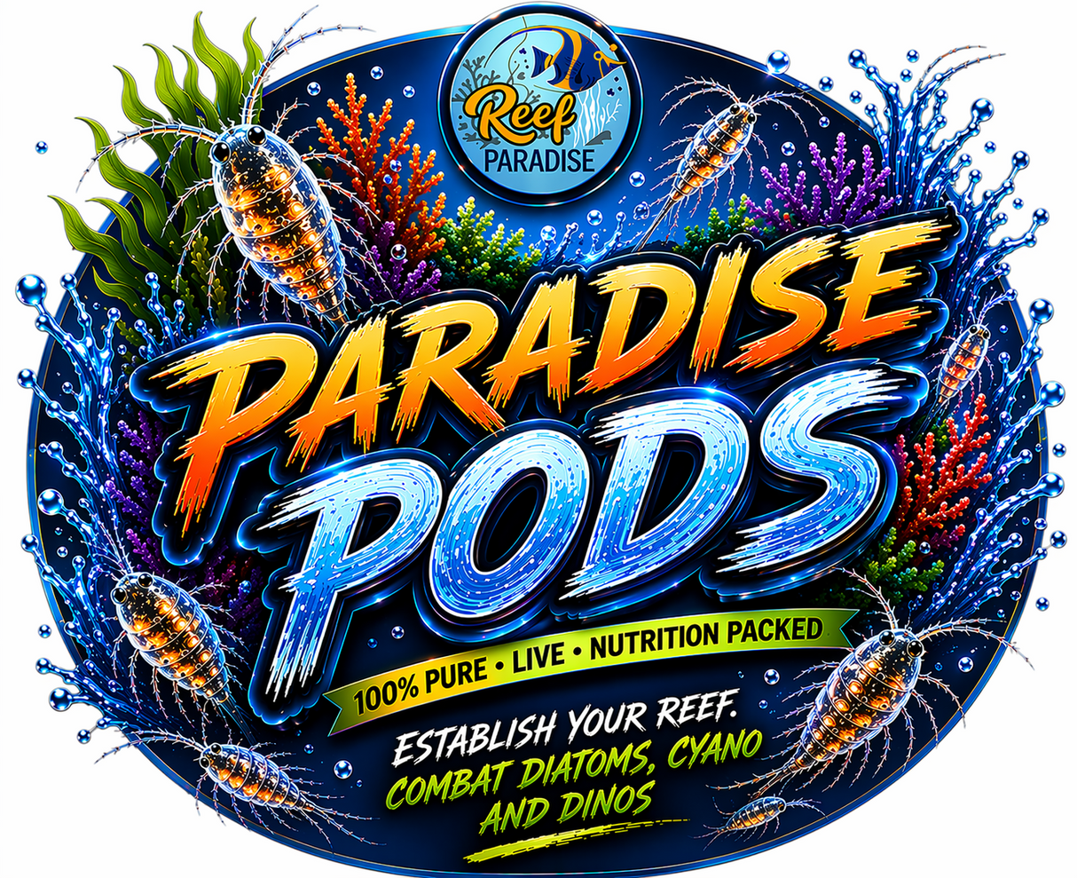 Paradise Pods (BLEND) 500ml