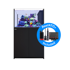 Red Sea Reefer Peninsula G3 350