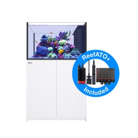 Red Sea Reefer Peninsula G3 350