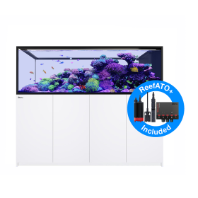 Red Sea Reefer Peninsula G3 S-950