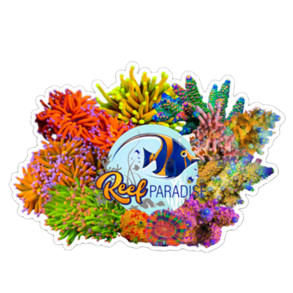 Reef Paradise