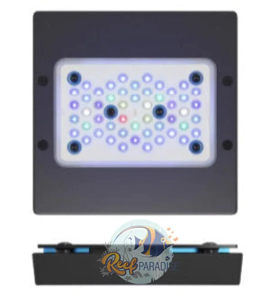 Radion Xr15 Blue G6 Lighting