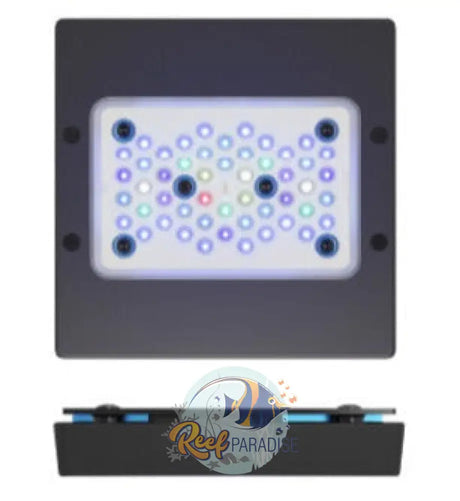 Radion Xr15 Blue G6 Lighting