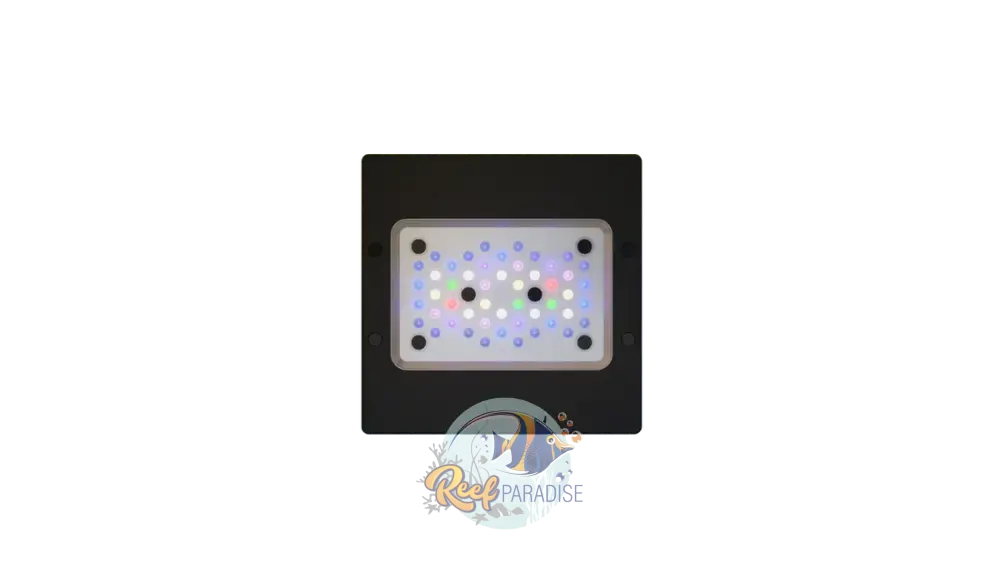 Radion Xr15 Pro G6 Lighting