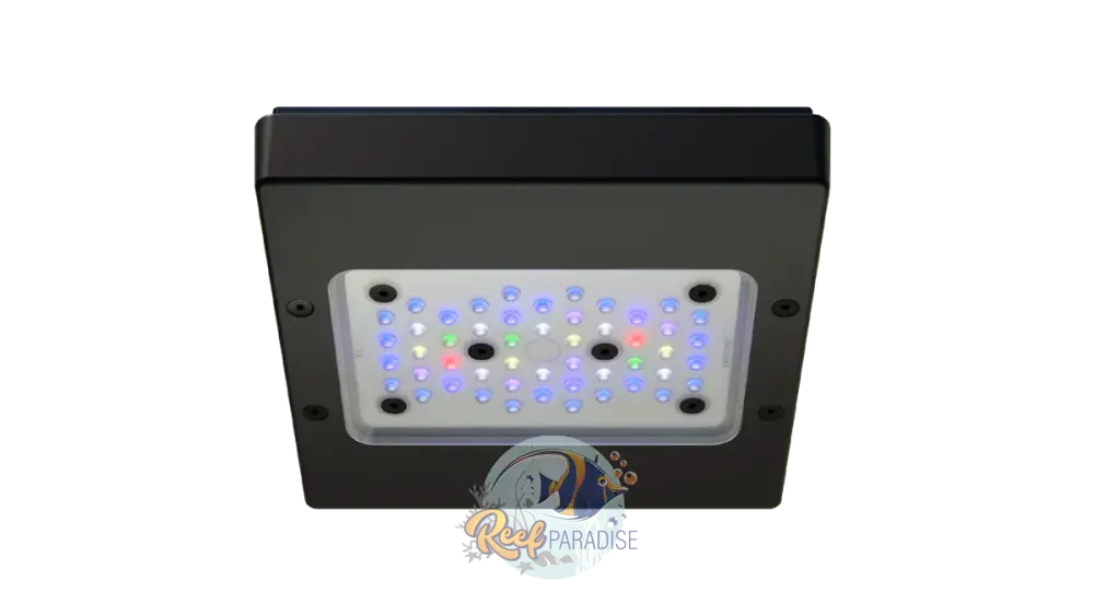 Radion Xr15 Pro G6 Lighting