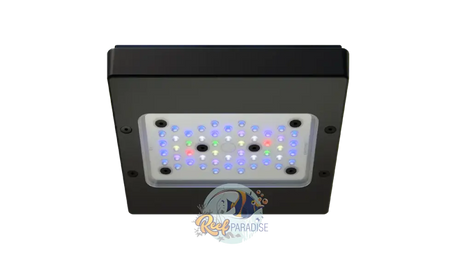 Radion Xr15 Pro G6 Lighting