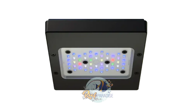 Radion Xr15 Pro G6 Lighting