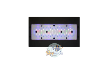 Radion Xr30 G6 Pro Lighting