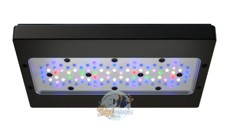 Radion Xr30 G6 Pro Lighting