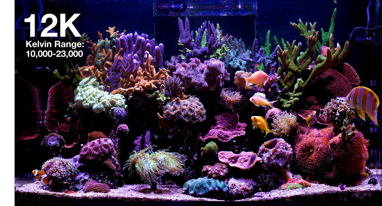 Red Sea ReefLED G2