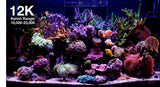 Red Sea ReefLED G2
