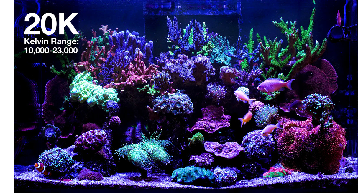 Red Sea ReefLED G2