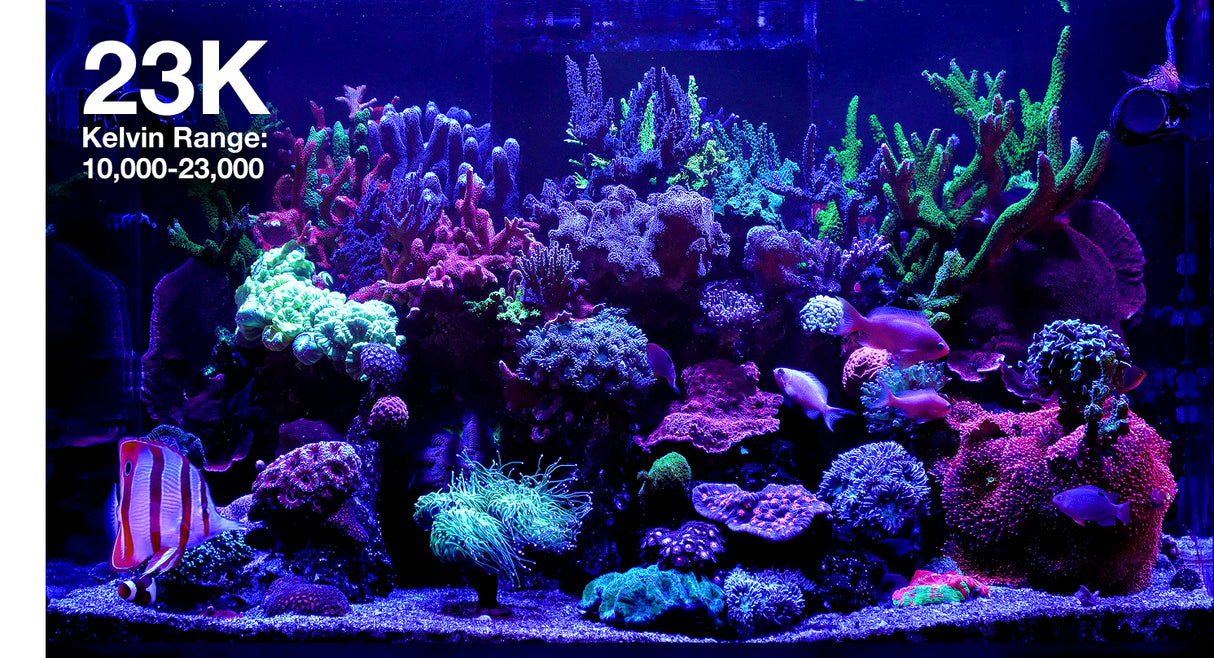 Red Sea ReefLED G2