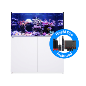 Red Sea Reefer G3 350 – Reef Paradise Red Sea Reefer G3 350 – Reef Paradise