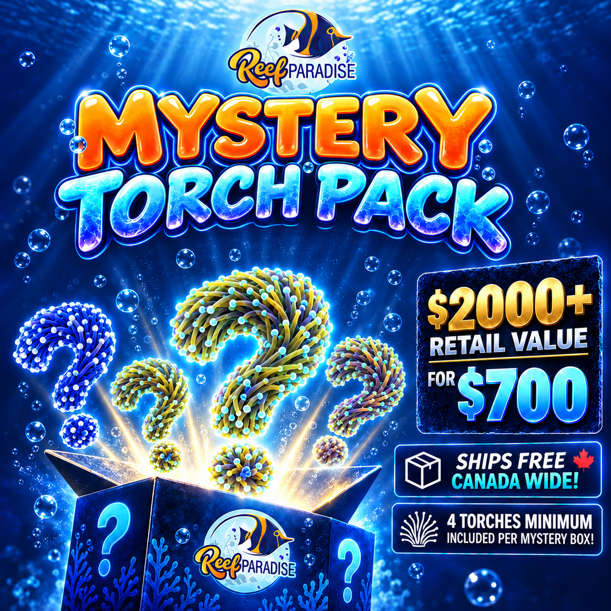 ULTRA Torch Mystery Box
