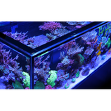 Red Sea Reefer-S 1000 G2+