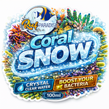 Reef Paradise Coral Snow