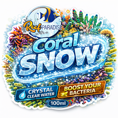 Reef Paradise Coral Snow