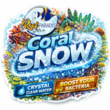 Reef Paradise Coral Snow