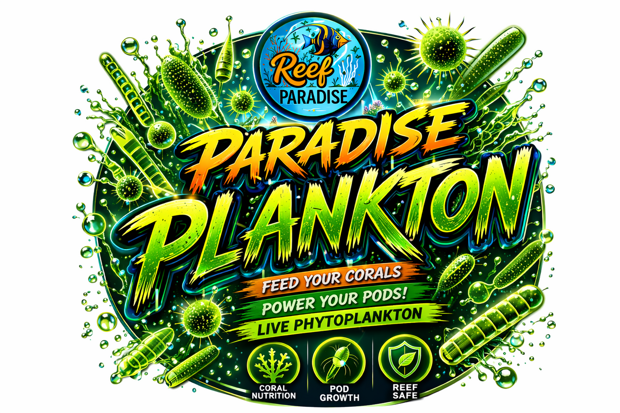 Paradise Plankton 500ml