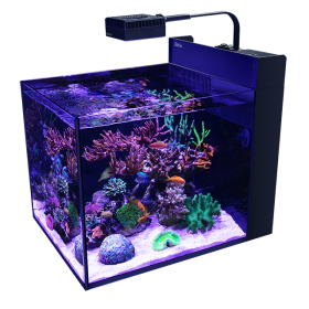 水槽 Red Sea MAX NANO Red Sea Max Nano Peninsula G2 – Reef Paradise
