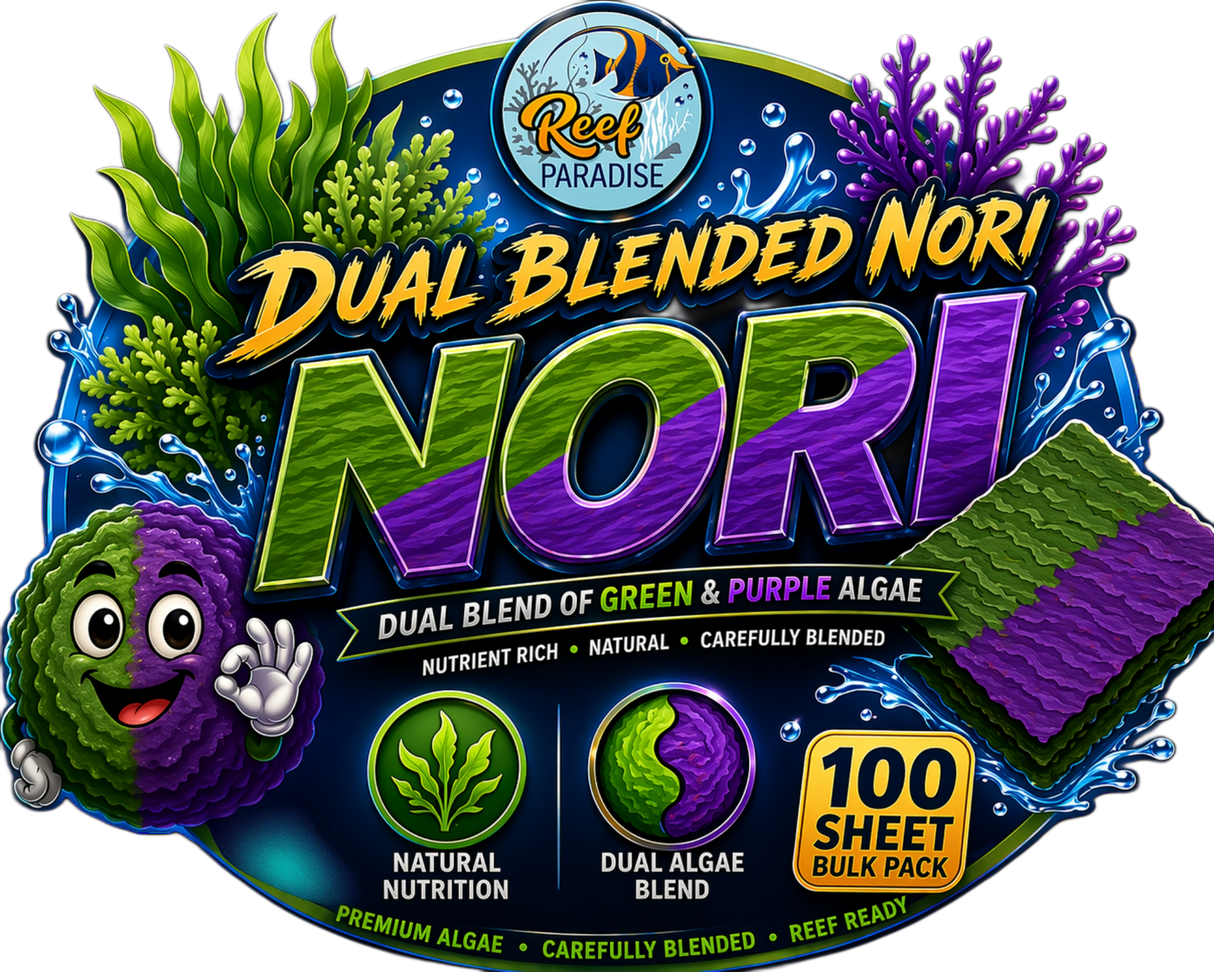 Dual Blended Nori Seaweed