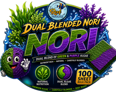 Dual Blended Nori Seaweed