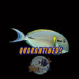 Epaulette Tang