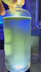 Paradise Pods ( Copepod Blend ) 500ml *SEE VIDEO*