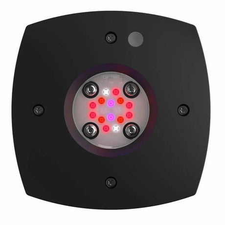 Ai prime 16hd