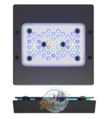 Radion Xr15 Blue G6 Lighting