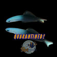 Scissortail Goby