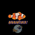 Snowflake Clownfish