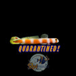 Suntail Goby